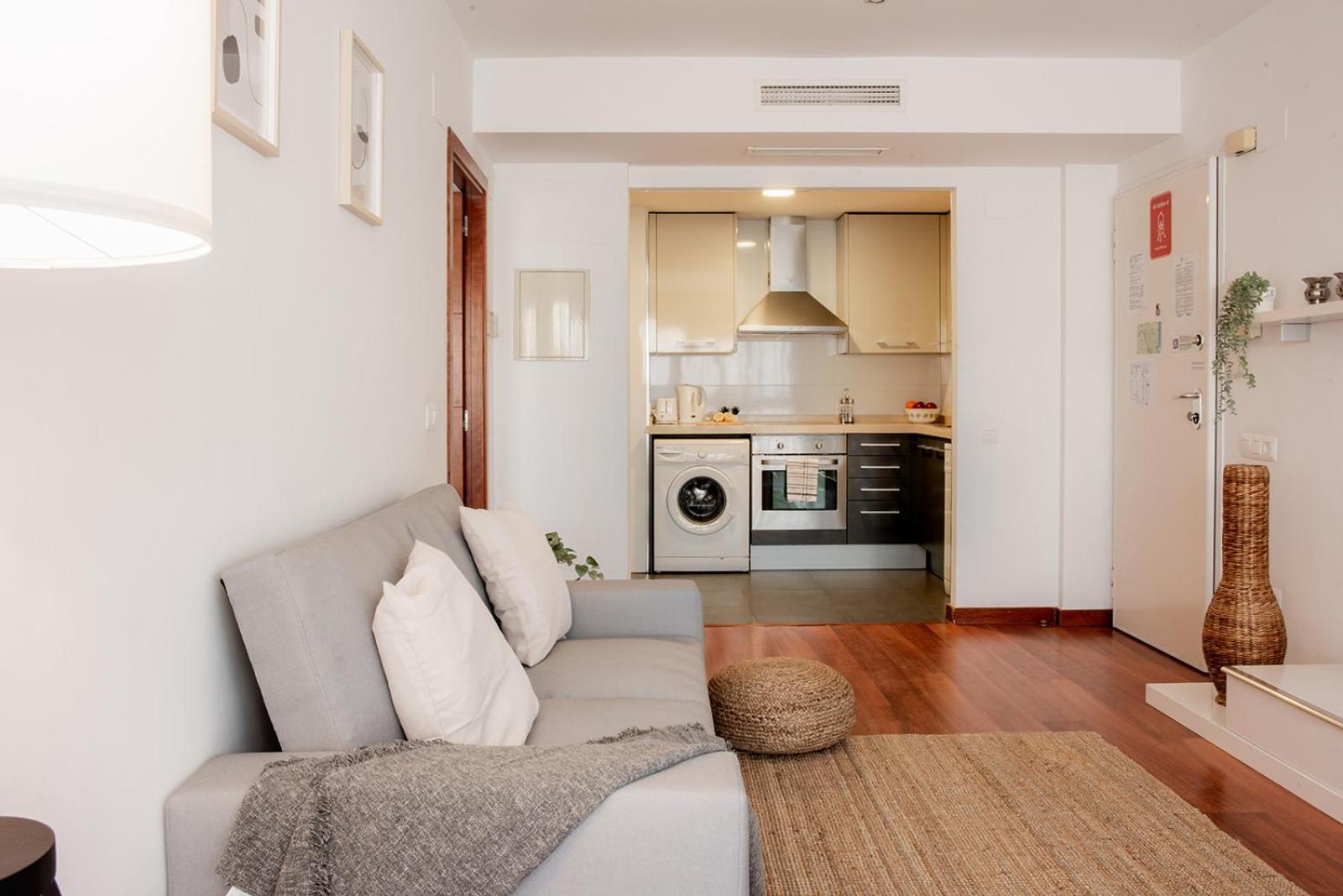 Apartamentos Fv Flats Valencia - San Felipe Neri エクステリア 写真
